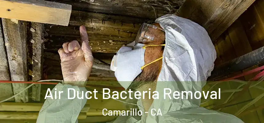 Air Duct Bacteria Removal Camarillo - CA