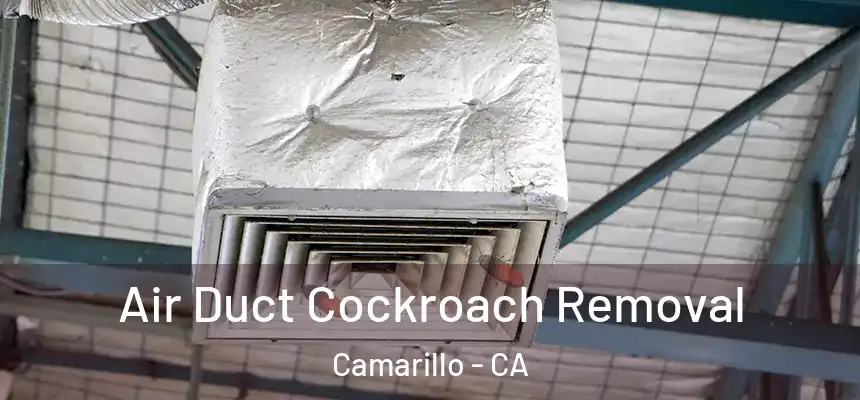 Air Duct Cockroach Removal Camarillo - CA