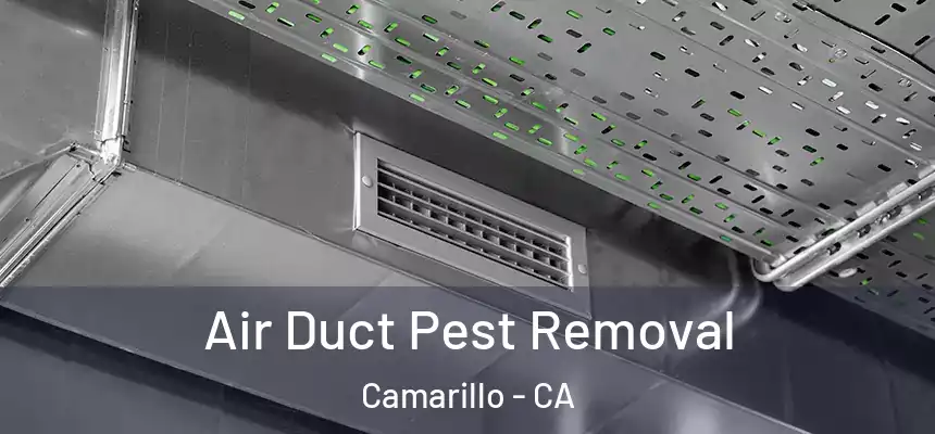 Air Duct Pest Removal Camarillo - CA