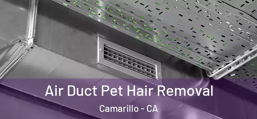 Air Duct Pet Hair Removal Camarillo - CA