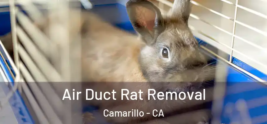 Air Duct Rat Removal Camarillo - CA