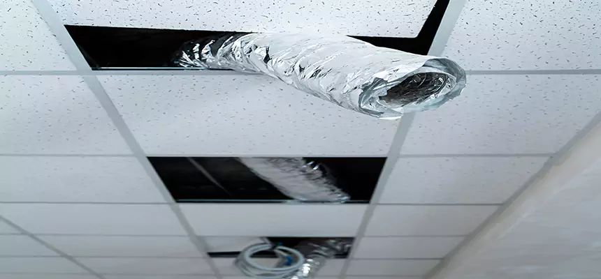 Affordable HVAC Sanitizing After Pest Removal in Camarillo