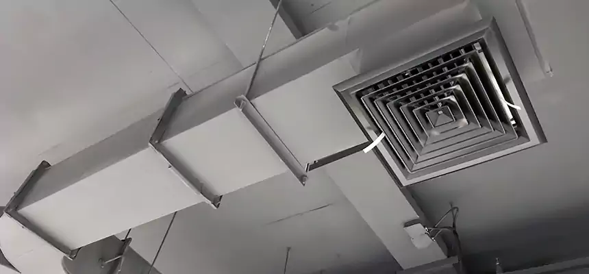 Restorative Allergy Relief Vent Cleaning – Coil, Blower & Housing Detail in Camarillo