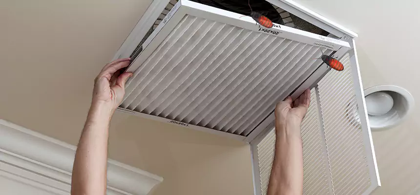 Our Insect Removal from Air Ducts Services in Camarillo, CA