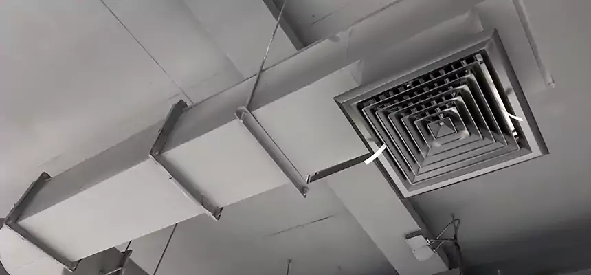 Our Pest Removal From Ducts Services in Camarillo, CA