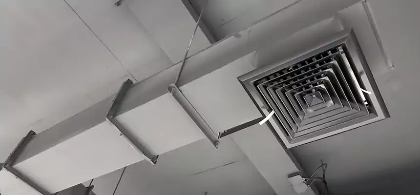 Our Rodent Droppings In Vents Services in Camarillo, CA