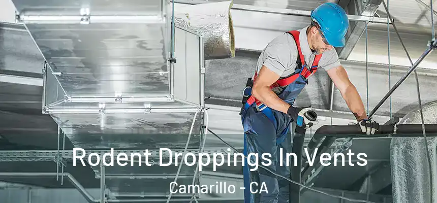 Rodent Droppings In Vents Camarillo - CA