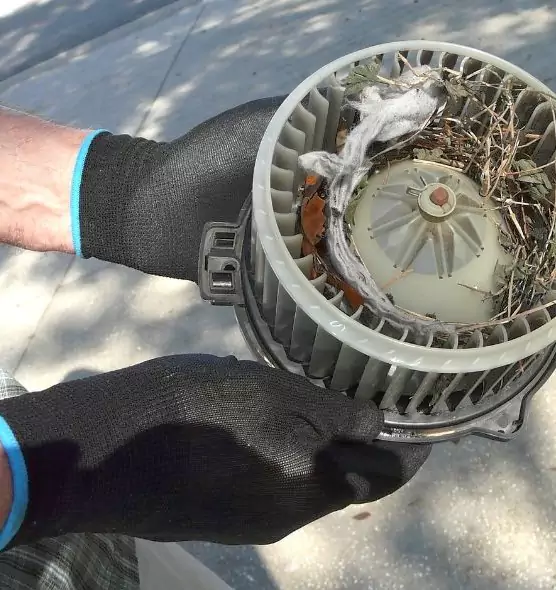 About Air Duct Mice Removal in Camarillo, CA