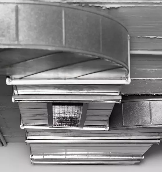 Professional Air Duct Pest Removal in Camarillo, CA