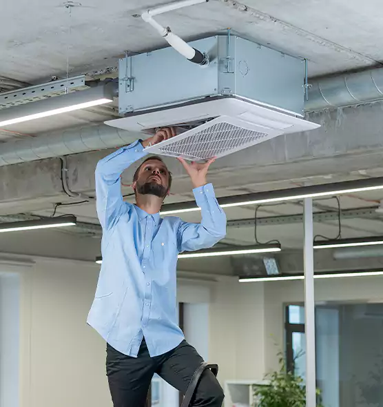 Advanced Rodent Droppings In Vents in Camarillo, CA