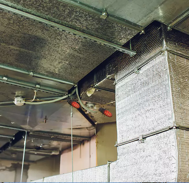 Why Homeowners & Businesses Trust Us in Camarillo, CA?