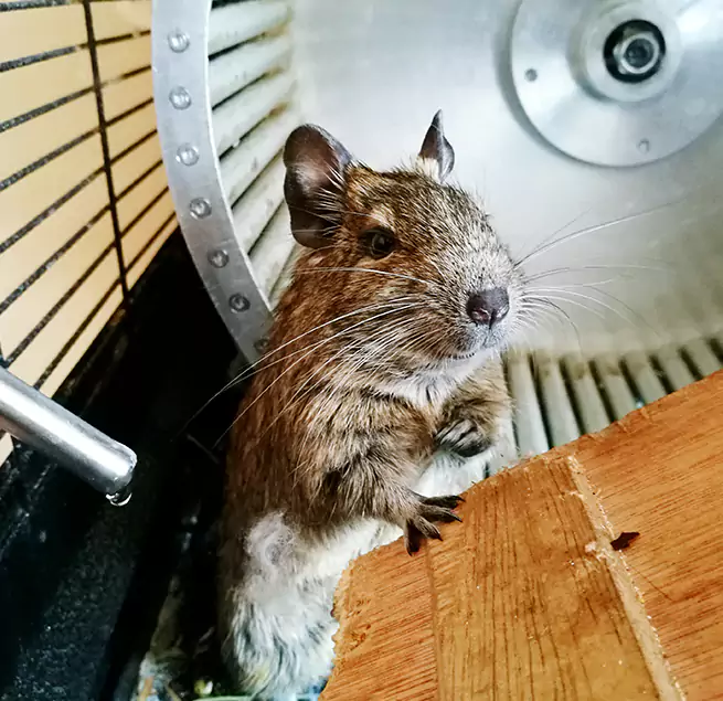 Why Homeowners & Businesses Trust Us Camarillo, CA